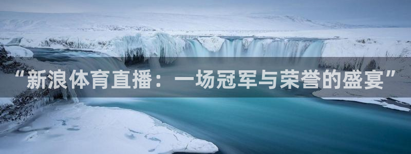 9球直播app